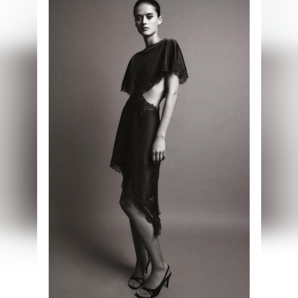 Zara ZW COLLECTION LACE CUT-OUT DRESS - Picture 7 of 10